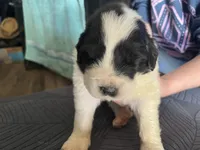 processed/3e53c58e-8780-4326-999e-519ba3bb8c46/listing/0e7a0c10-5486-4c07-bd4f-18bd01081ab9/e00b95c3-5494-4f82-8ead-4335c275d834