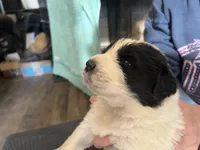 processed/3e53c58e-8780-4326-999e-519ba3bb8c46/listing/1bceaa69-a77a-4bdc-8581-d83bb207e3cb/109d469f-41e0-4615-bccf-760c310c0411