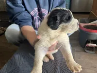 processed/3e53c58e-8780-4326-999e-519ba3bb8c46/listing/1bceaa69-a77a-4bdc-8581-d83bb207e3cb/45ed04cd-5b2f-4159-b3af-c6079decd614