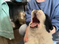 processed/3e53c58e-8780-4326-999e-519ba3bb8c46/listing/1bceaa69-a77a-4bdc-8581-d83bb207e3cb/9875cc3b-e8f7-455e-b4f1-0cfd2ca0939a