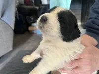 processed/3e53c58e-8780-4326-999e-519ba3bb8c46/listing/1bceaa69-a77a-4bdc-8581-d83bb207e3cb/9a7fc867-e387-4c76-b9bc-56316f5226c9