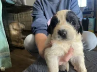 processed/3e53c58e-8780-4326-999e-519ba3bb8c46/listing/5e451795-f4a2-40ac-bf4b-eab43e6069a8/136371e0-4a1e-4acd-aa7d-29d254f1df69