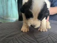 processed/3e53c58e-8780-4326-999e-519ba3bb8c46/listing/5e451795-f4a2-40ac-bf4b-eab43e6069a8/444d889c-226d-40df-bd73-a452a0e9c6c7