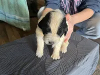 processed/3e53c58e-8780-4326-999e-519ba3bb8c46/listing/5e451795-f4a2-40ac-bf4b-eab43e6069a8/aaaf68d4-6cec-48c1-89ac-786edd3da10e