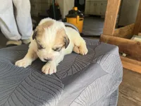 processed/3e53c58e-8780-4326-999e-519ba3bb8c46/listing/7b696000-7409-48ea-b315-ce3e3527c669/5dd36152-2092-4cf3-8b62-0d6facf0869e