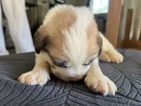 processed/3e53c58e-8780-4326-999e-519ba3bb8c46/listing/7b696000-7409-48ea-b315-ce3e3527c669/de31c584-60be-452a-a5ab-3f69816a50eb