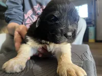 processed/3e53c58e-8780-4326-999e-519ba3bb8c46/listing/7ed16590-52c0-4c6f-8868-e6ea2741087f/18f8fe82-9e13-431a-9999-72a020d844be