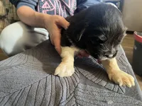 processed/3e53c58e-8780-4326-999e-519ba3bb8c46/listing/7ed16590-52c0-4c6f-8868-e6ea2741087f/30c574cf-7af7-4bd2-ab8a-8f10e00d6d58