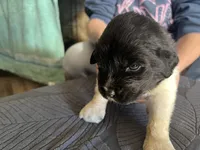 processed/3e53c58e-8780-4326-999e-519ba3bb8c46/listing/7ed16590-52c0-4c6f-8868-e6ea2741087f/47281776-a21c-4737-9b9a-b0e43f788fa6