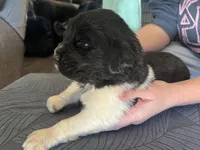 processed/3e53c58e-8780-4326-999e-519ba3bb8c46/listing/7ed16590-52c0-4c6f-8868-e6ea2741087f/e3ae9f93-6875-4407-9a08-fa5b8303c94e