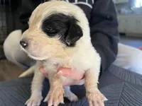 processed/3e53c58e-8780-4326-999e-519ba3bb8c46/listing/86312986-c8b2-40db-ba25-662acc18a113/8ddc5a14-48d5-42b0-adbf-6efbc0fb4b45