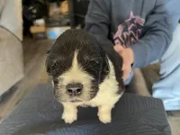 processed/3e53c58e-8780-4326-999e-519ba3bb8c46/listing/a99f3618-4bb8-488d-9c15-477f52f515f5/282b0f76-e74b-45c8-9b7d-82a331d16a80