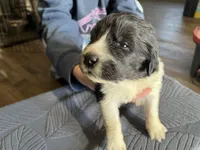 processed/3e53c58e-8780-4326-999e-519ba3bb8c46/listing/a99f3618-4bb8-488d-9c15-477f52f515f5/4f106f78-ddf0-4368-96b5-a445202be9ed