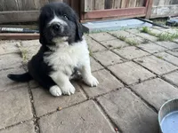 processed/3e53c58e-8780-4326-999e-519ba3bb8c46/listing/a99f3618-4bb8-488d-9c15-477f52f515f5/dd114bcd-d7b8-4d9d-bb5e-32f10d9d28f5