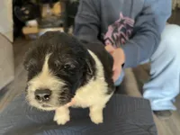 processed/3e53c58e-8780-4326-999e-519ba3bb8c46/listing/a99f3618-4bb8-488d-9c15-477f52f515f5/e4b90446-2cdc-451e-a797-7b2d28fde26e