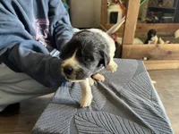 processed/3e53c58e-8780-4326-999e-519ba3bb8c46/listing/a99f3618-4bb8-488d-9c15-477f52f515f5/e71cb322-bd76-4ab4-a9a1-870b0271cca3