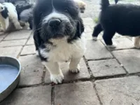 processed/3e53c58e-8780-4326-999e-519ba3bb8c46/listing/a99f3618-4bb8-488d-9c15-477f52f515f5/f11faed8-6a4d-4492-9130-e0a530251265