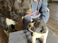 processed/3e53c58e-8780-4326-999e-519ba3bb8c46/listing/a99f3618-4bb8-488d-9c15-477f52f515f5/fde64e62-67d3-468b-8f6a-b0256e349a25