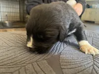 processed/3e53c58e-8780-4326-999e-519ba3bb8c46/listing/d8ff34d3-f146-458b-bebd-cc7802d674df/0e1bf9e6-59c3-4b5a-9182-f905c4bd9b68