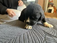 processed/3e53c58e-8780-4326-999e-519ba3bb8c46/listing/d8ff34d3-f146-458b-bebd-cc7802d674df/aa9a5bc9-3d28-4038-b184-4d5946748d8e