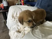 processed/3e53c58e-8780-4326-999e-519ba3bb8c46/listing/f8e482f2-76c9-460d-bb46-822b6e5d1612/0565f438-fd4b-46e6-addd-8e825276c1a0