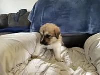 processed/3e53c58e-8780-4326-999e-519ba3bb8c46/listing/f8e482f2-76c9-460d-bb46-822b6e5d1612/30336961-397e-4320-810c-a56c9b1ad50e