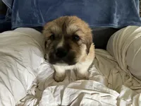 processed/3e53c58e-8780-4326-999e-519ba3bb8c46/listing/f8e482f2-76c9-460d-bb46-822b6e5d1612/6d654b4e-70c0-458c-aa30-cf08cf827ed4