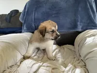 processed/3e53c58e-8780-4326-999e-519ba3bb8c46/listing/f8e482f2-76c9-460d-bb46-822b6e5d1612/e2d0e57d-3581-4b97-a011-fed67aca9235