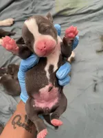 processed/3e560dd9-5173-47e0-97d3-d8843b8b4613/facility/24bef0e4-5707-4875-b996-f272fa87de83