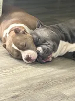 processed/3e560dd9-5173-47e0-97d3-d8843b8b4613/facility/40a6120c-db88-4996-b381-1894ac3ca063