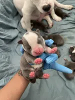 processed/3e560dd9-5173-47e0-97d3-d8843b8b4613/facility/553fb90c-b60a-414e-9e37-f4926619abbc