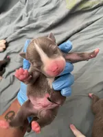 processed/3e560dd9-5173-47e0-97d3-d8843b8b4613/facility/561b3867-8747-4e01-adf7-0d3ffbdb917f