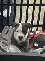 processed/3e560dd9-5173-47e0-97d3-d8843b8b4613/facility/85e9926f-6399-42e6-ac96-92a6065e3fda