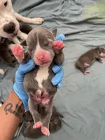 processed/3e560dd9-5173-47e0-97d3-d8843b8b4613/facility/8c12ccac-ab1b-42a6-9664-8df41abae5a6