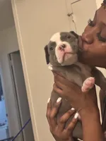 processed/3e560dd9-5173-47e0-97d3-d8843b8b4613/facility/b80027b3-9176-4289-a542-fb7e8eb8d499