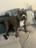 processed/3e560dd9-5173-47e0-97d3-d8843b8b4613/facility/b843ee44-0f55-46ee-b667-59875fd0f835