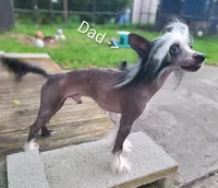 processed/3e5cdf02-e292-4ddb-804f-d756d250b550/listing/11709884-1052-4641-b89b-e0fbb9311c8c/24346c4e-c6e7-4e97-ab1a-1585f49c4953