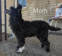 processed/3e5cdf02-e292-4ddb-804f-d756d250b550/listing/11709884-1052-4641-b89b-e0fbb9311c8c/36d83123-a164-4ab0-a614-7aa81a785087