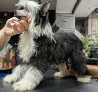 processed/3e5cdf02-e292-4ddb-804f-d756d250b550/listing/11709884-1052-4641-b89b-e0fbb9311c8c/51890c97-0ba7-404d-ab66-d41842660dc4