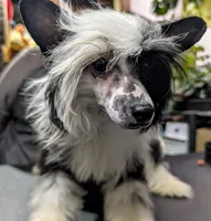 processed/3e5cdf02-e292-4ddb-804f-d756d250b550/listing/11709884-1052-4641-b89b-e0fbb9311c8c/557ca05a-0ea2-4c68-88fc-750d3e7aad49