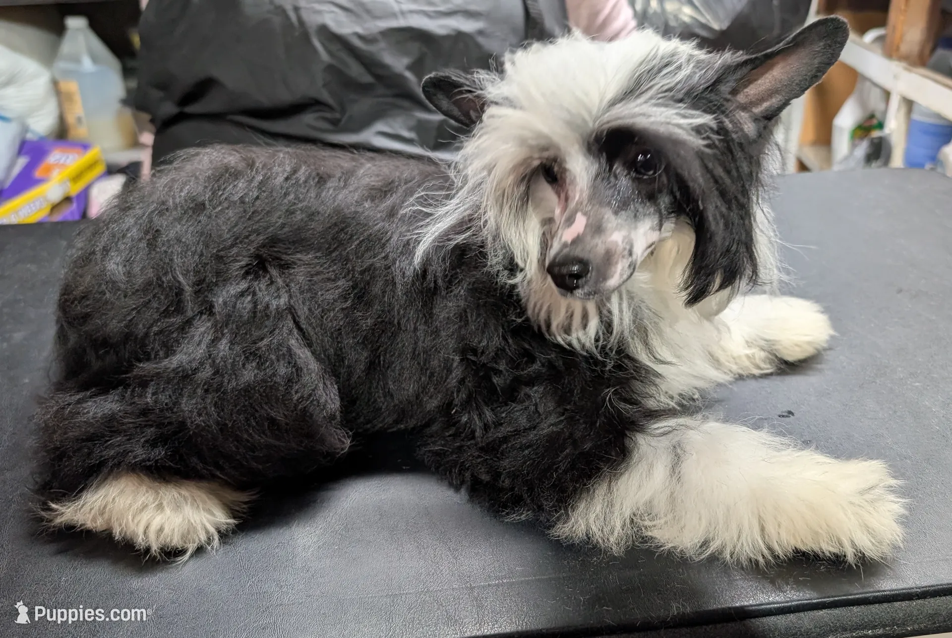 processed/3e5cdf02-e292-4ddb-804f-d756d250b550/listing/11709884-1052-4641-b89b-e0fbb9311c8c/8cc9d3e6-ebd3-4e5a-a7c5-3babc52e3861