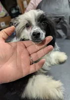 processed/3e5cdf02-e292-4ddb-804f-d756d250b550/listing/11709884-1052-4641-b89b-e0fbb9311c8c/8d5d7135-091f-43e5-9c1a-e8674bc8aae6