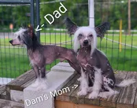 processed/3e5cdf02-e292-4ddb-804f-d756d250b550/listing/11709884-1052-4641-b89b-e0fbb9311c8c/90ec1e36-16cf-4e00-a4e0-cdb74e5edee7