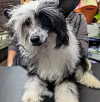 processed/3e5cdf02-e292-4ddb-804f-d756d250b550/listing/11709884-1052-4641-b89b-e0fbb9311c8c/ebc4d975-004a-4e31-b5ed-007bc25482b9