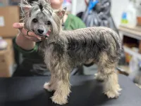 processed/3e5cdf02-e292-4ddb-804f-d756d250b550/listing/a59edf86-e0c1-43b4-a806-000e6f674845/c42a4724-2ff6-41e6-9ba7-40b890711227