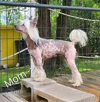 processed/3e5cdf02-e292-4ddb-804f-d756d250b550/listing/cc9adcd4-6cdb-4f92-bd9a-591c0cdd8d9c/085585ca-de54-4df8-85e1-3a44e68818c1