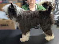 processed/3e5cdf02-e292-4ddb-804f-d756d250b550/listing/cc9adcd4-6cdb-4f92-bd9a-591c0cdd8d9c/19b3abd0-5a6b-4791-a212-ad2ecf554347