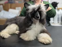 processed/3e5cdf02-e292-4ddb-804f-d756d250b550/listing/cc9adcd4-6cdb-4f92-bd9a-591c0cdd8d9c/451f23b0-f10e-4c44-8244-66f4a6eb7163