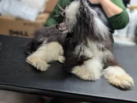 processed/3e5cdf02-e292-4ddb-804f-d756d250b550/listing/cc9adcd4-6cdb-4f92-bd9a-591c0cdd8d9c/984ab336-b83c-4d58-a322-80f92e098925