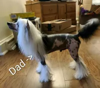 processed/3e5cdf02-e292-4ddb-804f-d756d250b550/listing/cc9adcd4-6cdb-4f92-bd9a-591c0cdd8d9c/b886e880-7a8a-45a9-b647-6ac410b07383